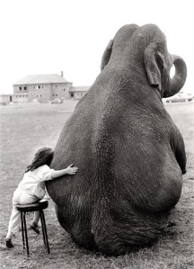 Elephant_friend_girl_large